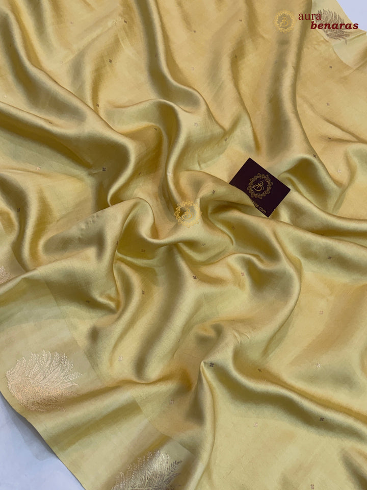 Cream Pure Katan Silk Banarasi Saree Kadhwa Leopard Motifs