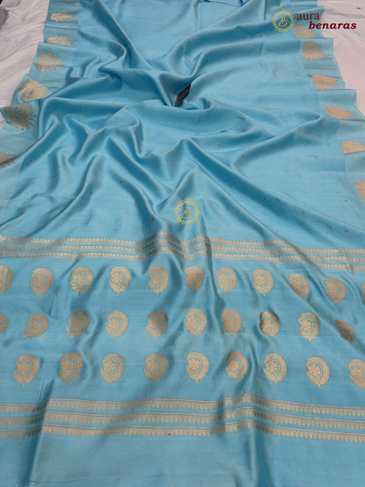 Sky Blue Pure Katan Silk Banarasi Saree Kadhwa Leopard Motifs