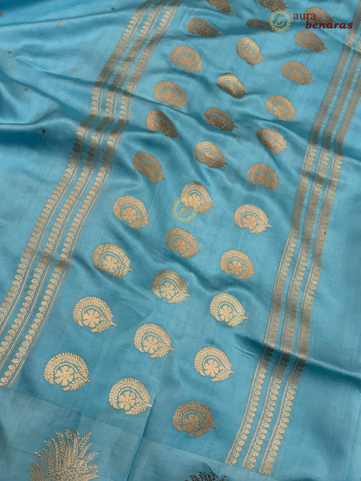 Sky Blue Pure Katan Silk Banarasi Saree Kadhwa Leopard Motifs