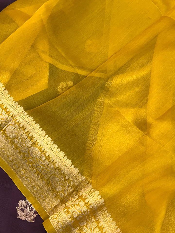 Brown Banarasi Handloom Kora Silk Saree
