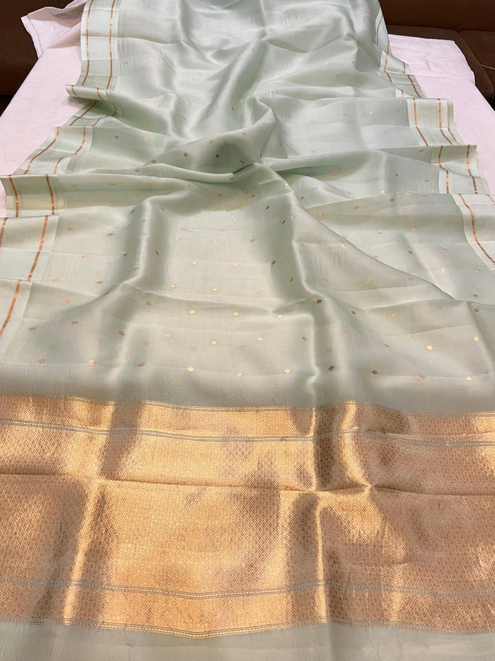 Pani Pista Pure Banarasi Handloom Silk Saree - Aura Benaras