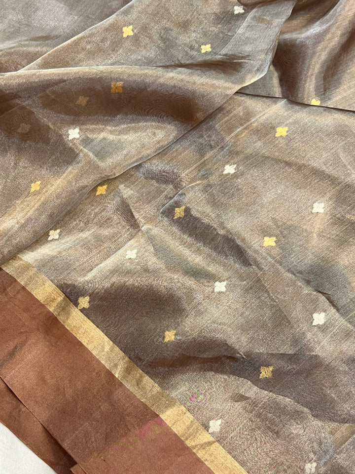 Brown Iktara Tissue Silk Saree with Mashru Border
