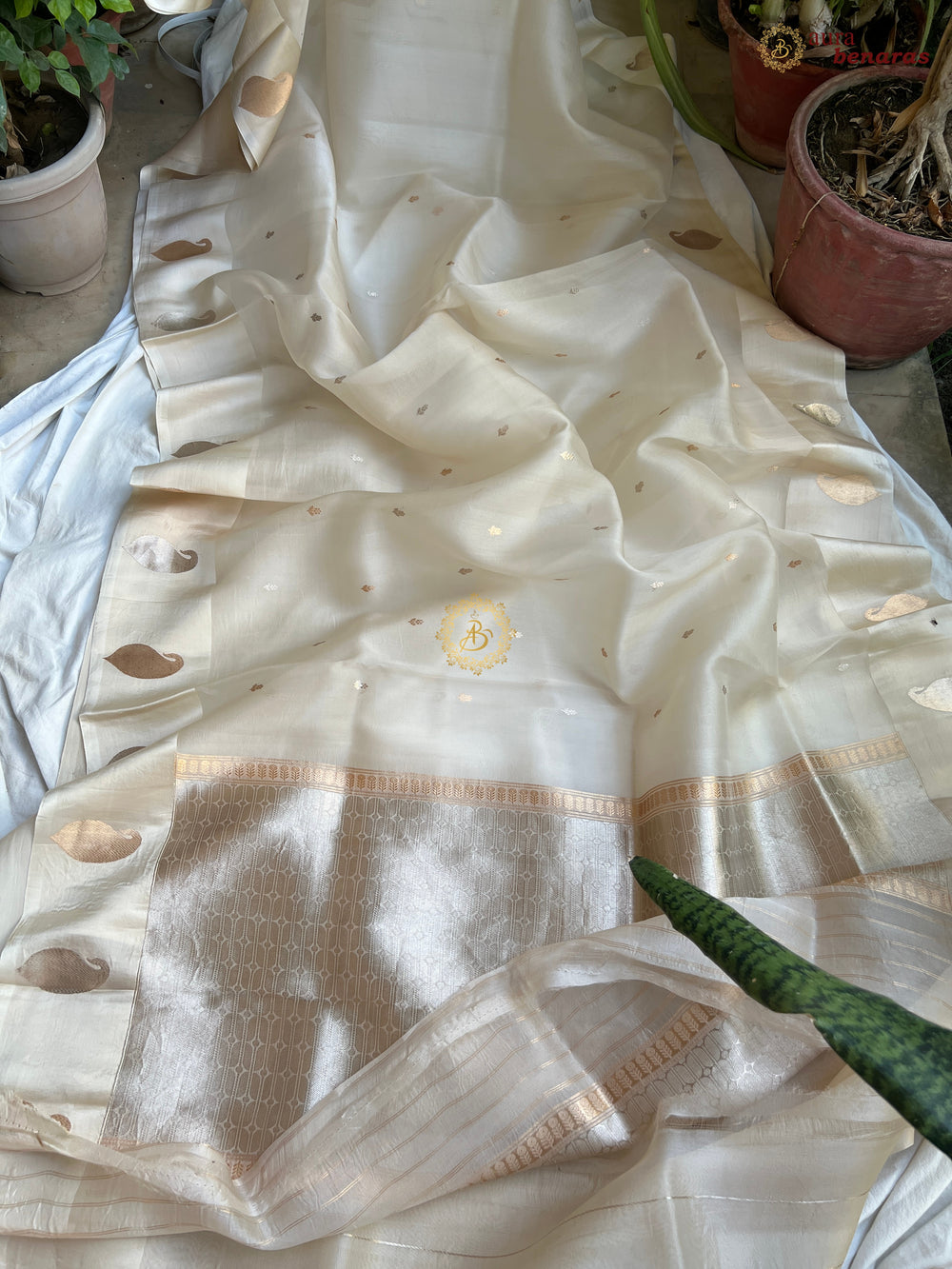 Off White Kora Silk Banarasi Saree with Kadhwa Golden Zari Motif