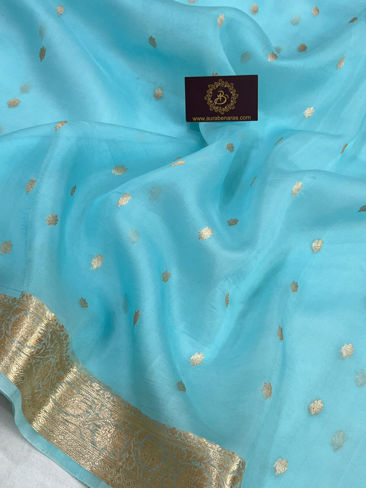 Sky Blue Banarasi Handloom Kora Silk Saree