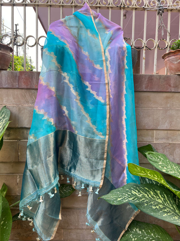 Blue Rangkaat Pure Banarasi Kora Silk Dupatta - Aura Benaras