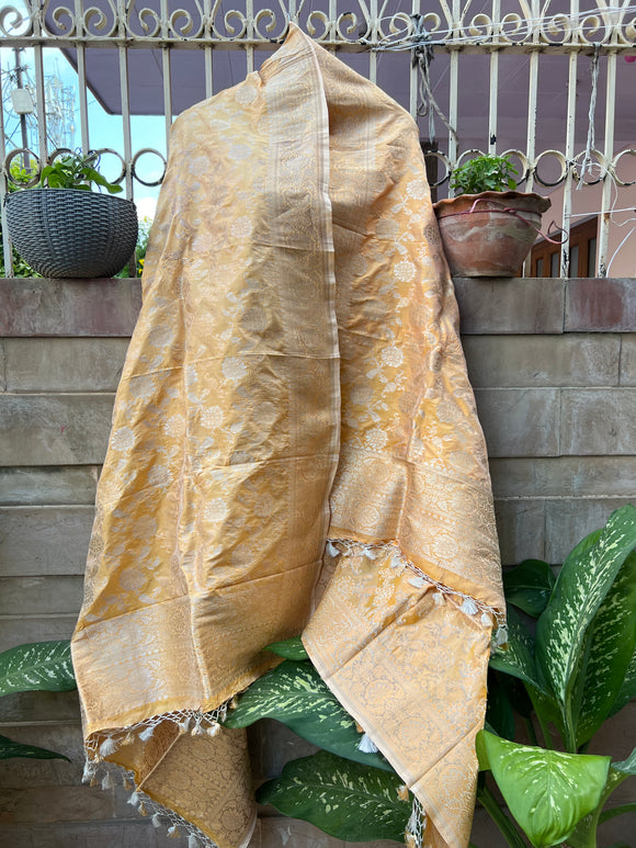 Creamish Yellow Pure Banarasi Handloom Katan Silk Dupatta - Aura Benaras