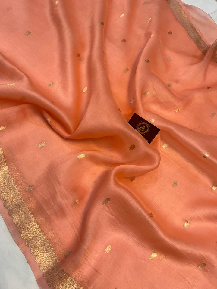 Sleek golden zari Banarasi border on lightweight organza silk saree, highlighting fine craftsmanship