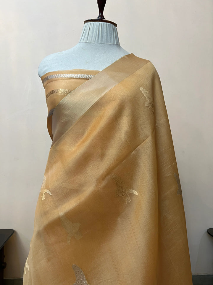 Pastel Beige Kora Silk Banarasi Saree with Dual Border