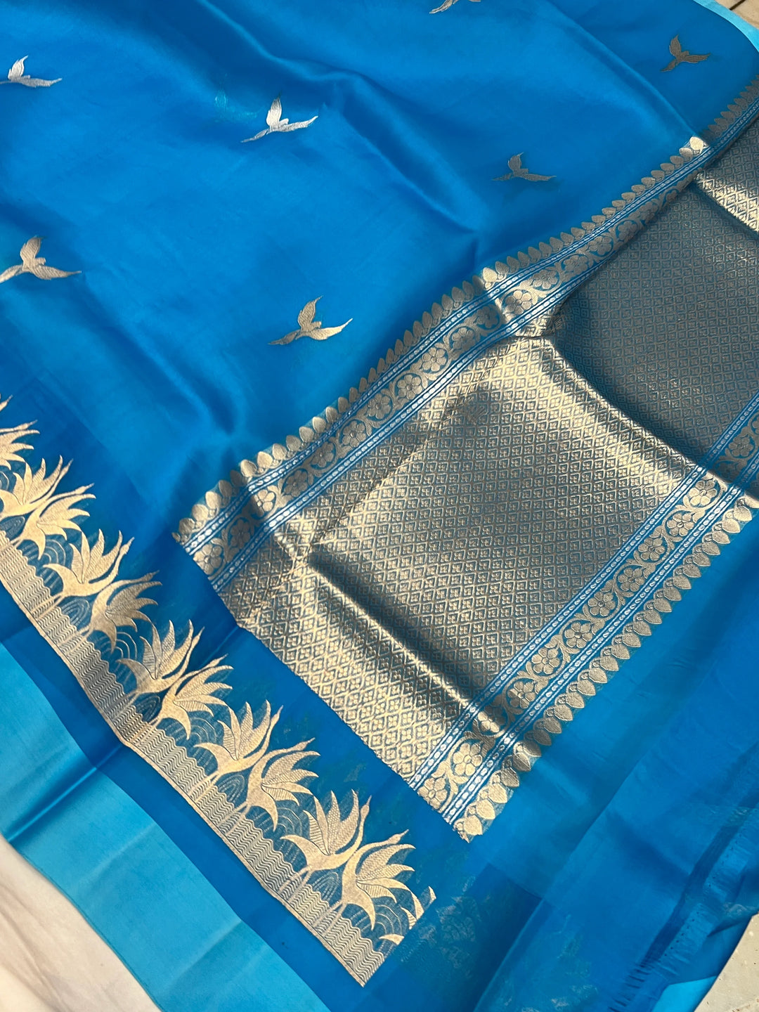 Blue Kora Silk Banarasi Saree with Dual Border