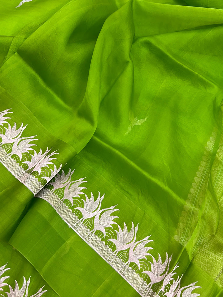Parrot Green Kora Silk Banarasi Saree with Dual Border
