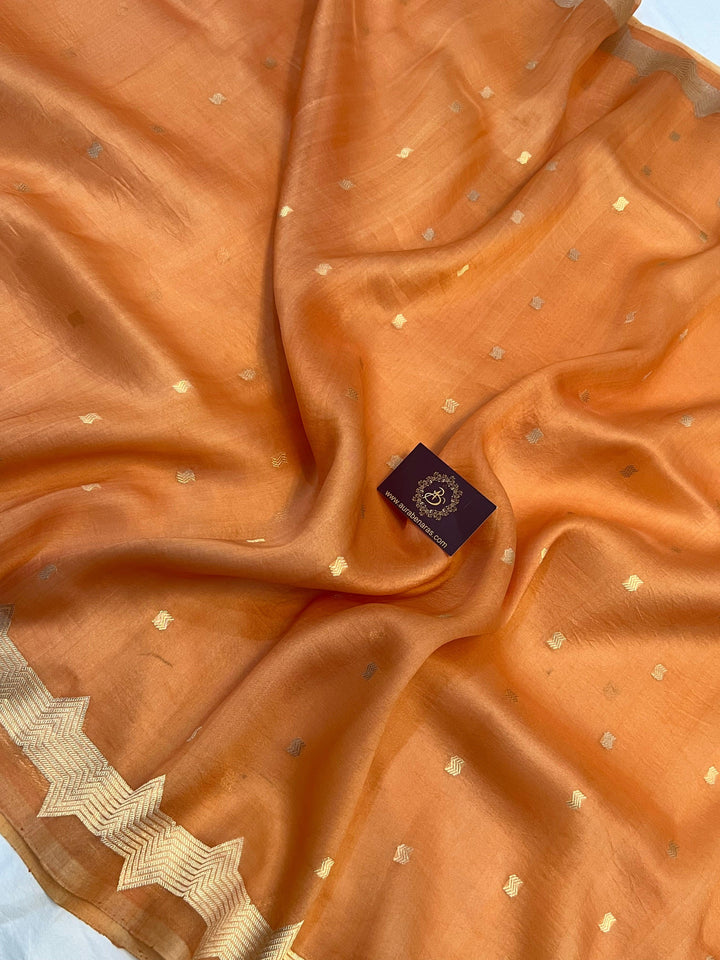 Sleek golden zari Banarasi border on lightweight organza silk saree, highlighting fine craftsmanship