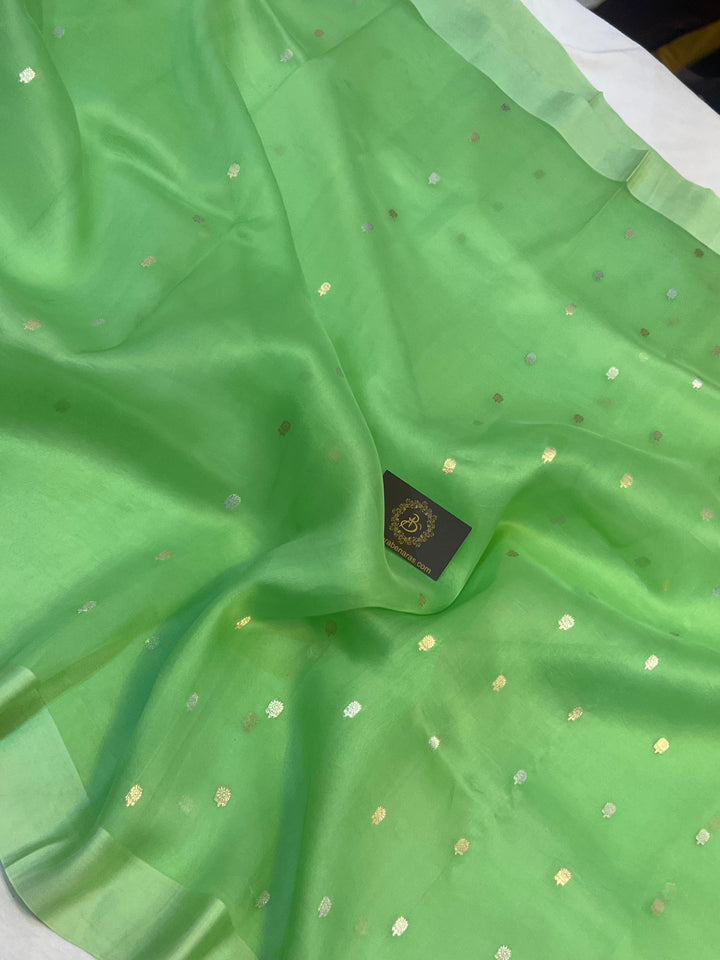 Rich Mashru silk Banarasi border with golden zari detailing on handloom Kora silk saree