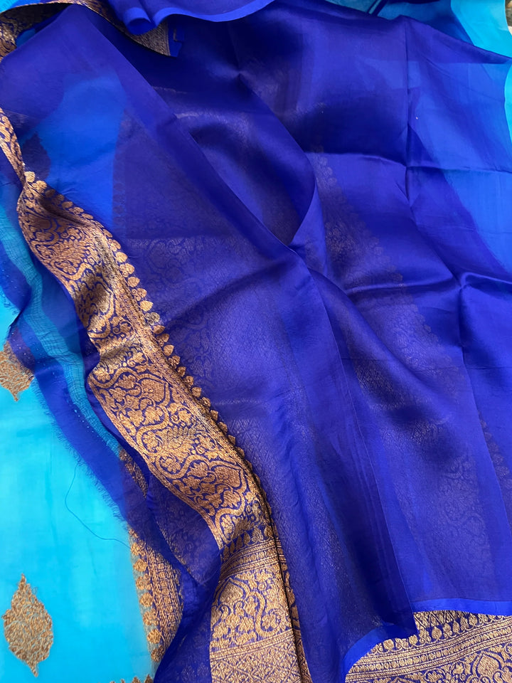Sky Blue Pure Kora Silk Handloom Banarasi Saree