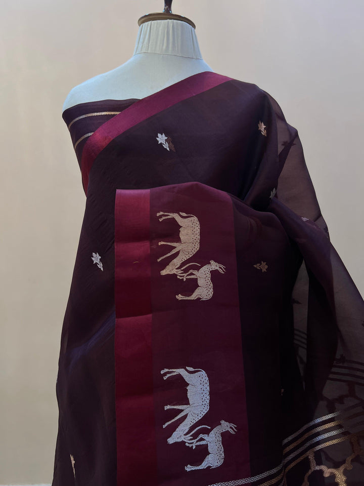 Pure Kora silk handloom Banarasi saree draped with Kadhwa Sona Rupa butis, Mashru silk border featuring hiran motifs, and elegant designer pallu