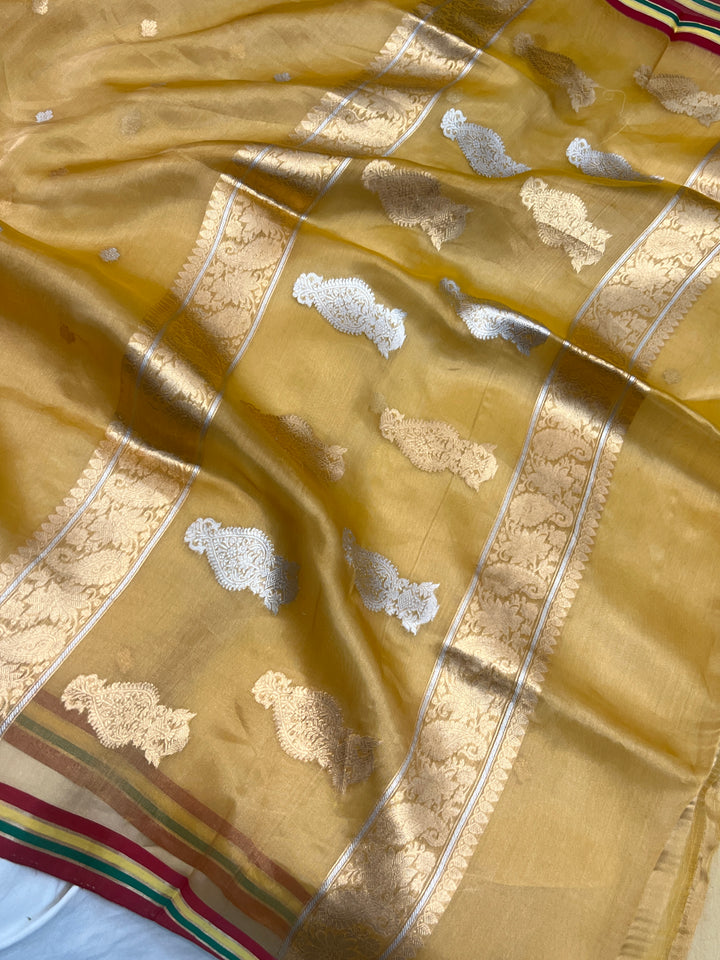 Golden Pure Tissue Silk Handloom Banarasi Saree