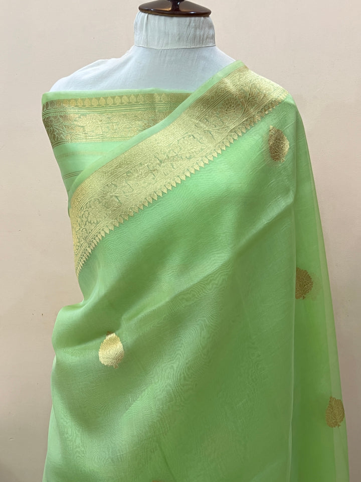 Pastel Green Banarasi Handloom Kora Silk Saree