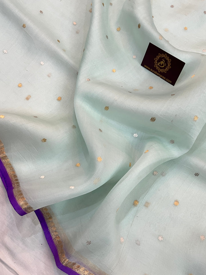 Sky Blue Pure Kora Silk Handloom Banarasi Saree