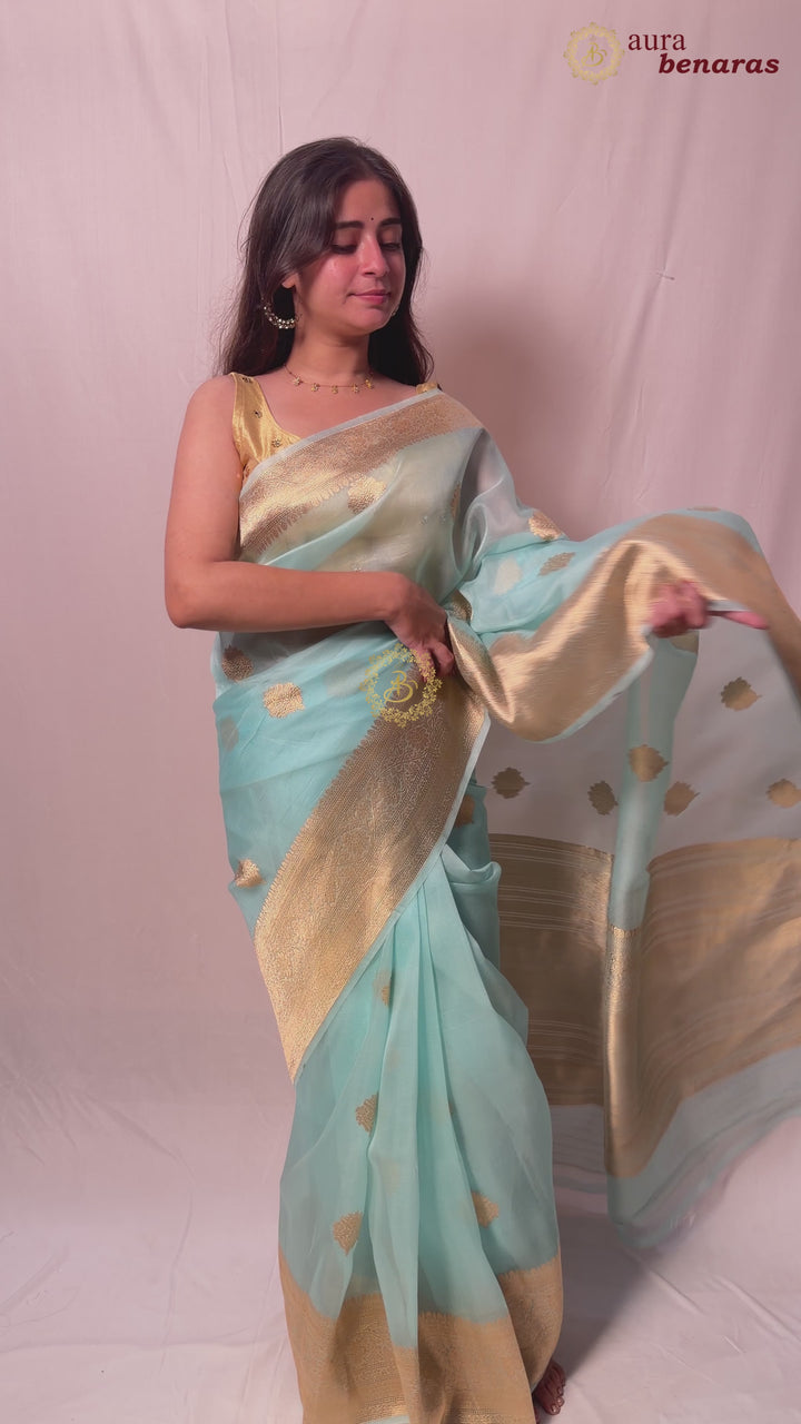 Sky Blue Banarasi Kora Organza Sari with Gold Zari Work