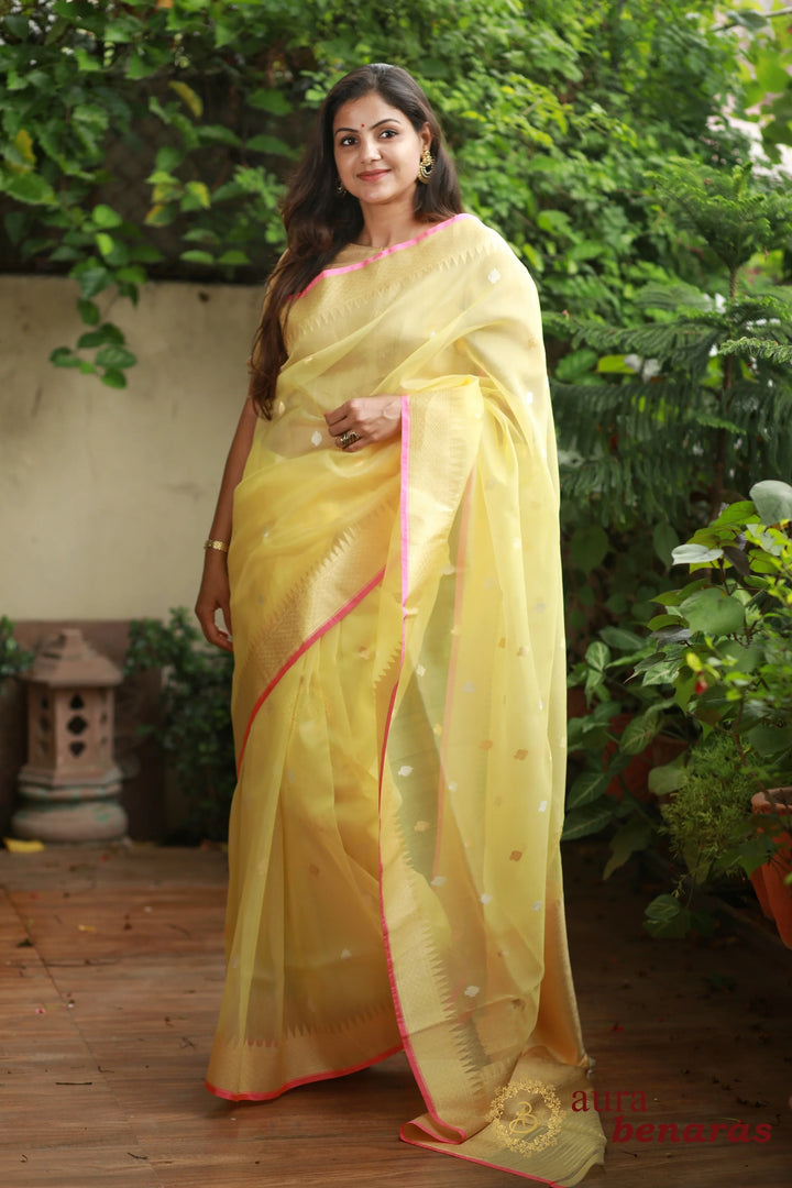 Pre Order :: Pastel Yellow Kora Cotton silk Handloom Banarasi Saree