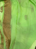 Pista Green Pure Banarasi Khaddi Georgette Saree - Aura Benaras