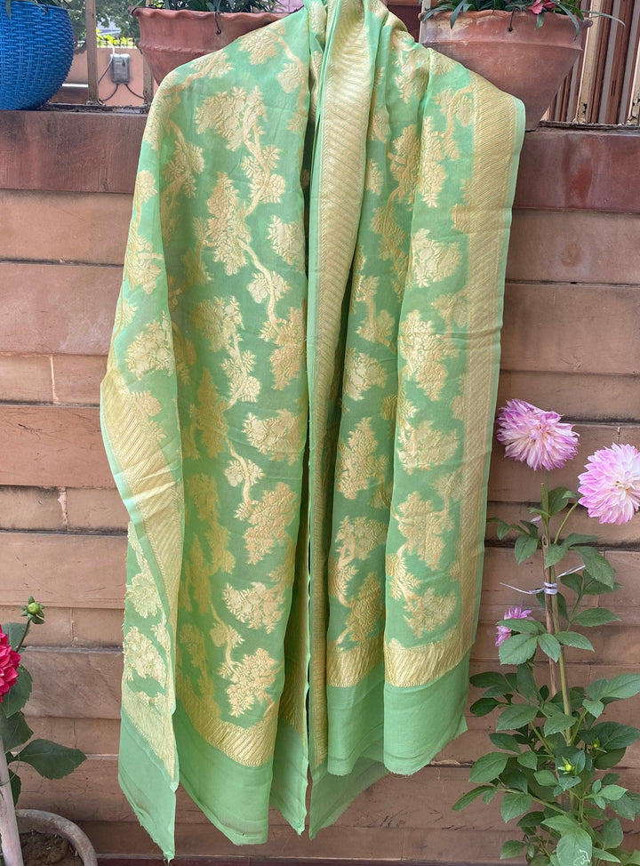 Pista Green Pure Banarasi Handloom Georgette Dupatta - Aura Benaras