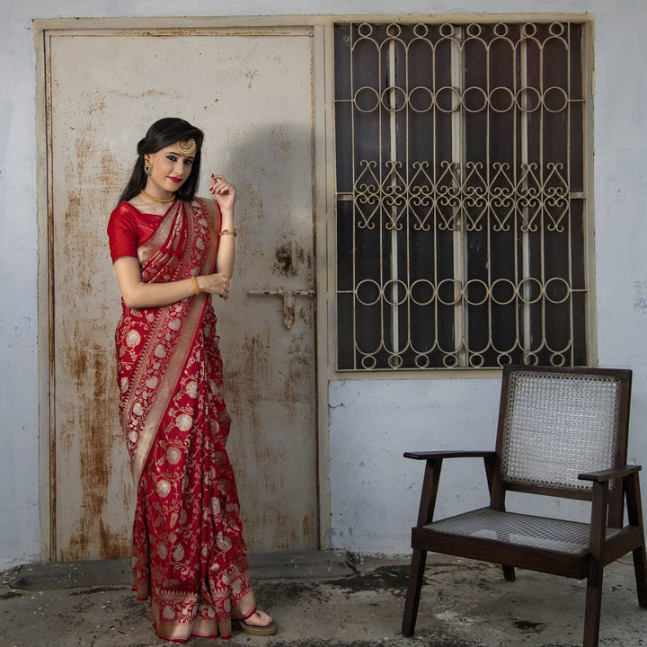 Red Jaal Pure Banarasi Handlloom Katan Silk Saree - Aura Benaras