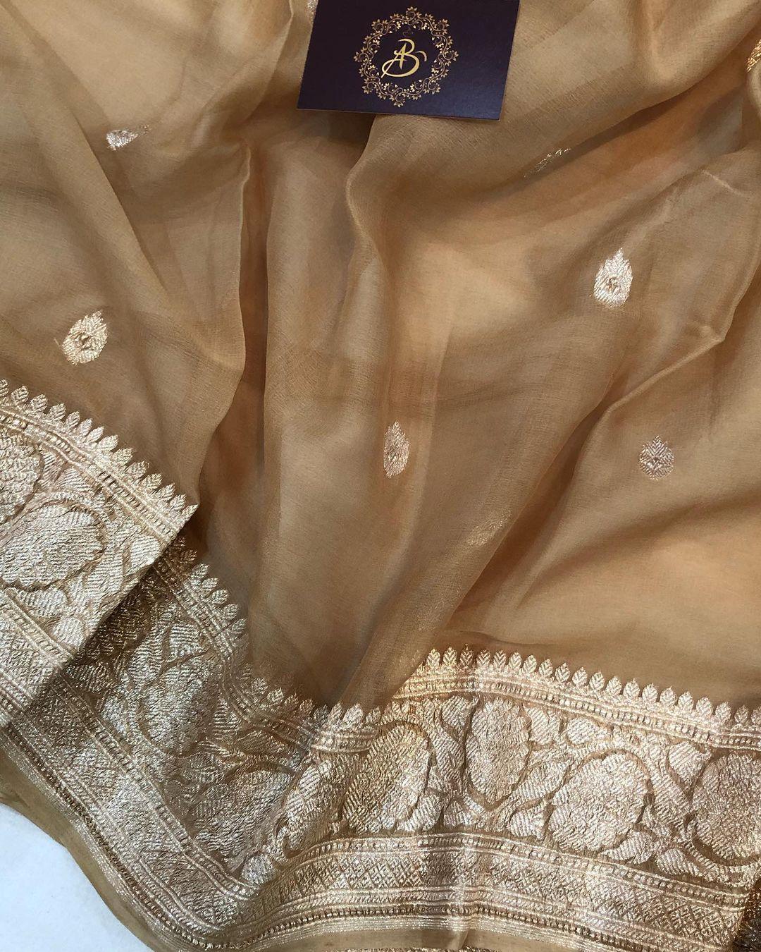 Pastel Brown Khaddi Chiffon Banarasi Handloom Saree - Aura Benaras