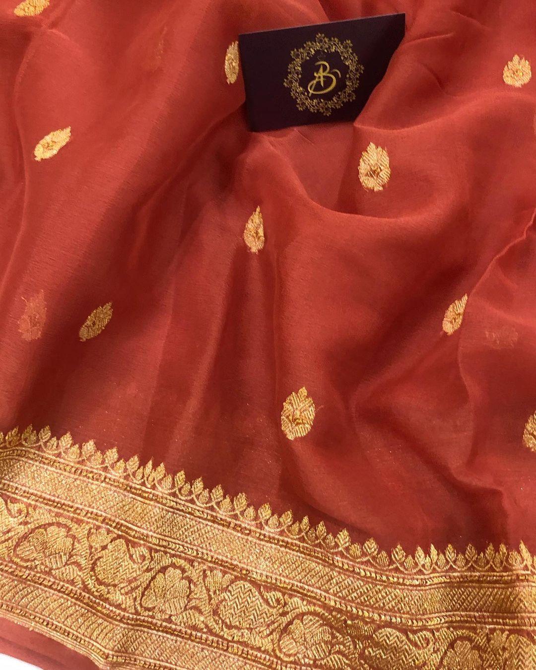 Earthy Orange Khaddi Chiffon Banarasi Handloom Saree - Aura Benaras
