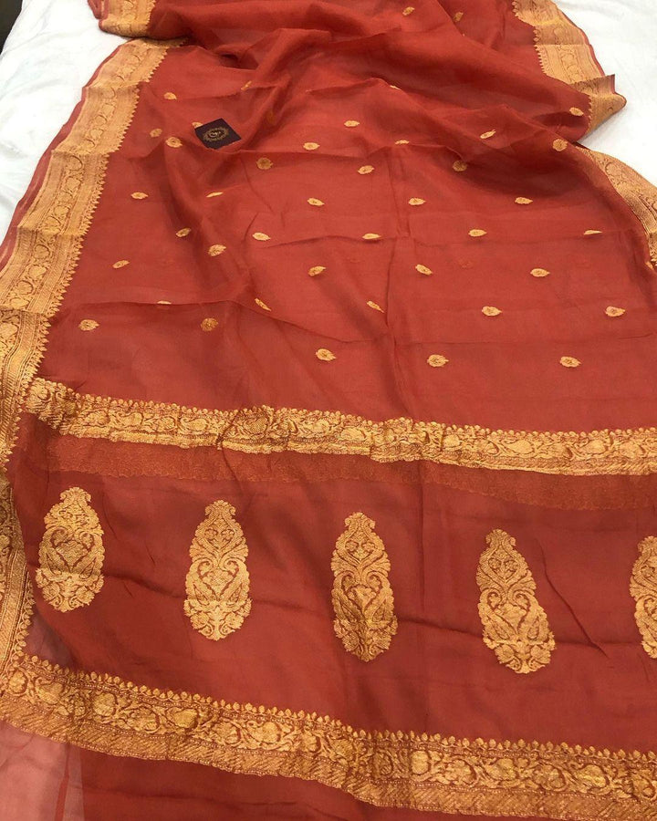 Earthy Orange Khaddi Chiffon Banarasi Handloom Saree - Aura Benaras