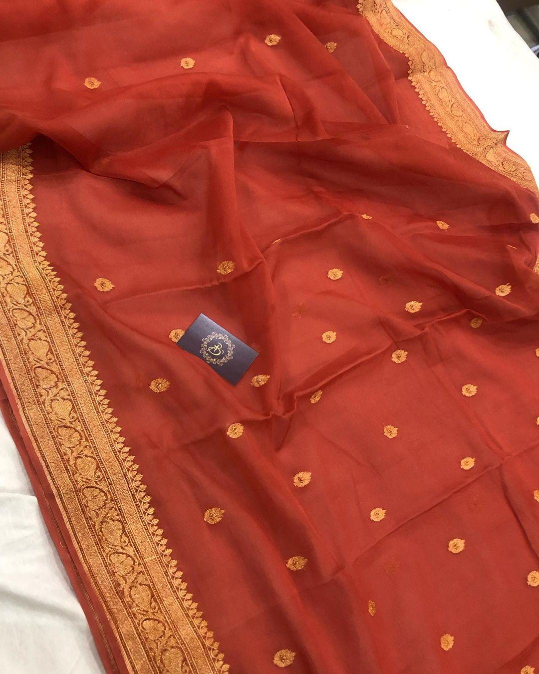 Earthy Orange Khaddi Chiffon Banarasi Handloom Saree - Aura Benaras