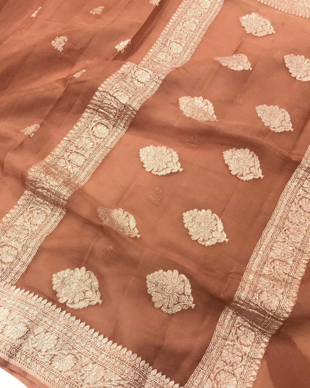 Inventive Orange Khaddi Chiffon Banarasi Handloom Saree - Aura Benaras