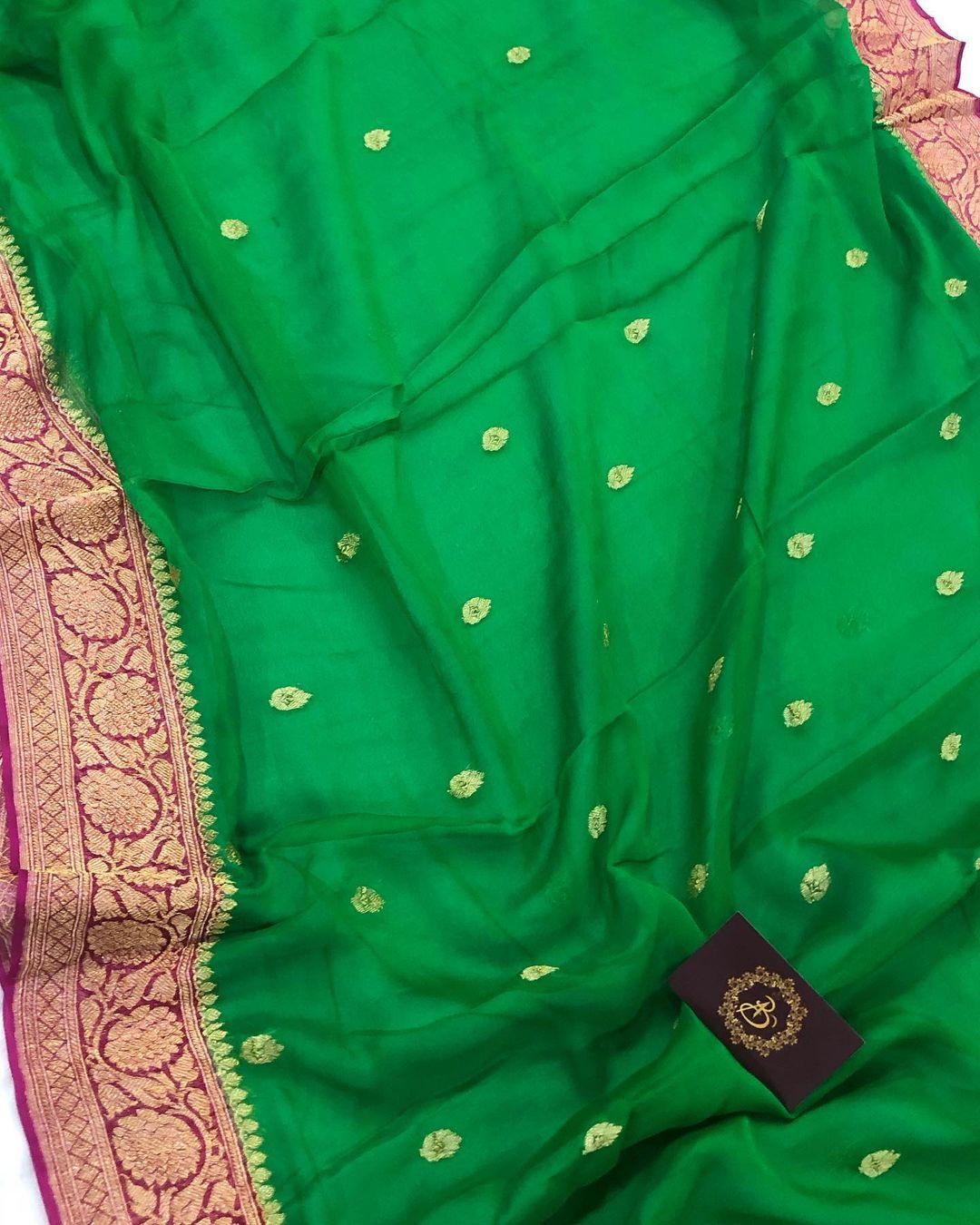 Banarasi Handloom Pure Georgette Silk Saree - Aura Benaras