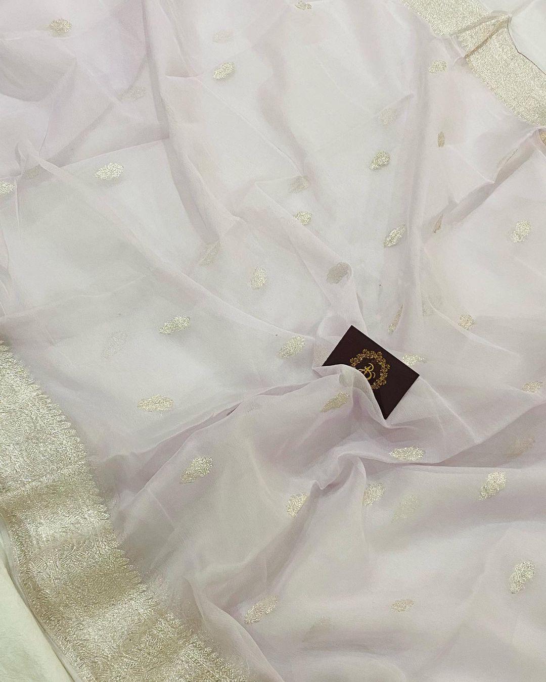 Pale Purple Khaddi Chiffon Banarasi Handloom Saree