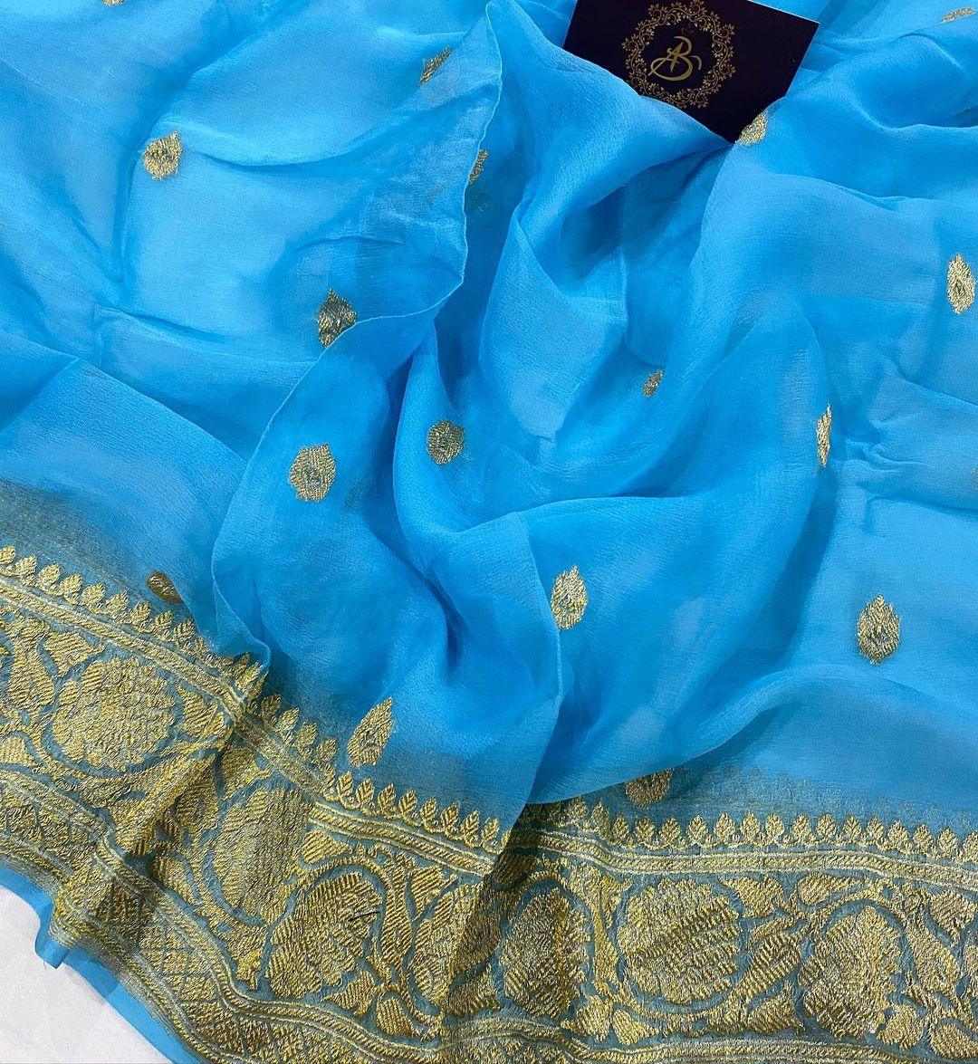 Powder Blue Pure Banarasi Khaddi Chiffon Saree - Aura Benaras