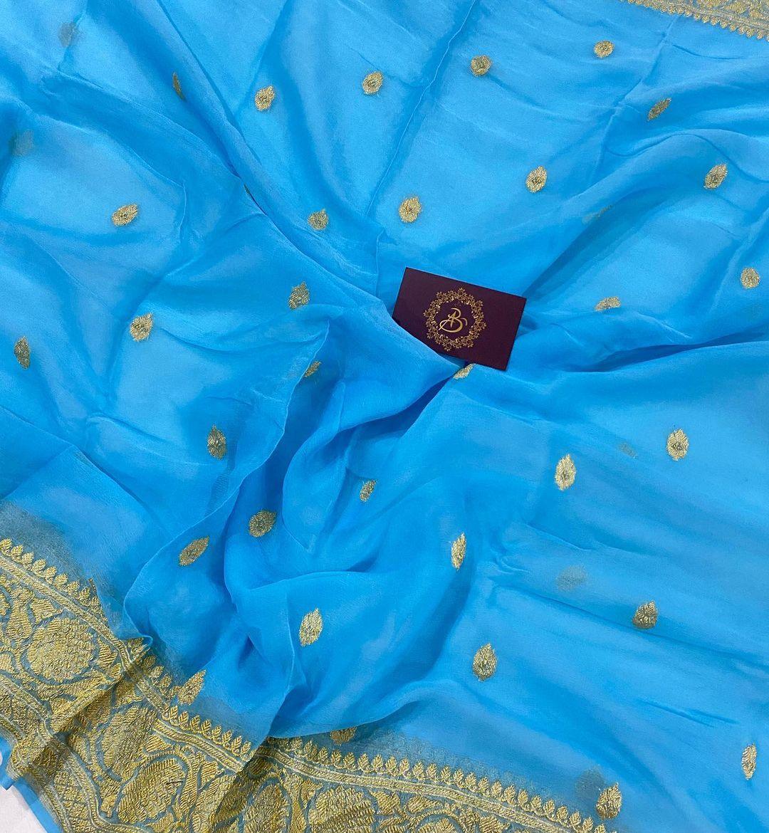 Powder Blue Pure Banarasi Khaddi Chiffon Saree - Aura Benaras