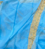 Powder Blue Pure Banarasi Khaddi Chiffon Saree - Aura Benaras